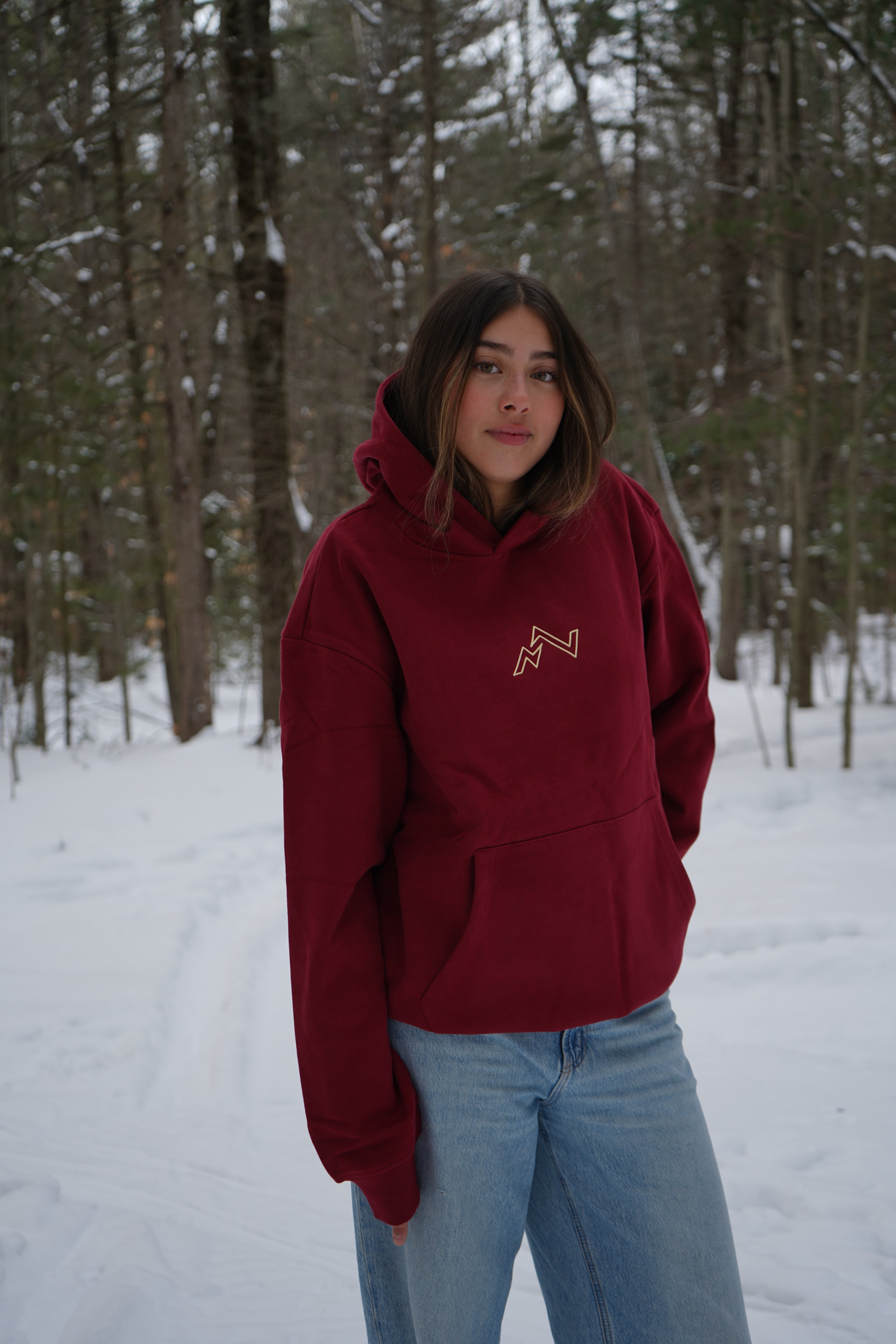 La collection de référence Hoodie